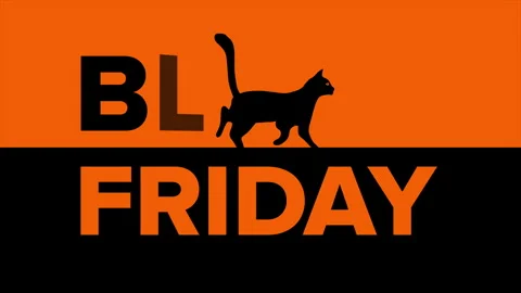 Black Friday animation with a black cat Stock Footage 254714602