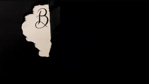 Black friday Stock Footage 143018080