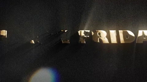 Black Friday Gold Stock Footage 221128057