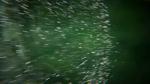 Black Friday intro outro 库存影片 80920337