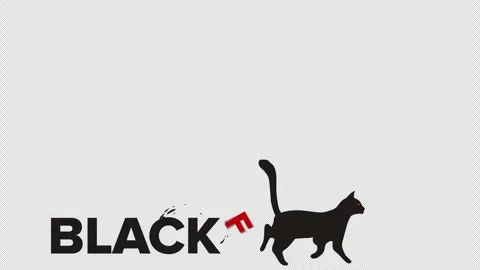 Black Friday overlay with a black cat Stock Footage 254807984