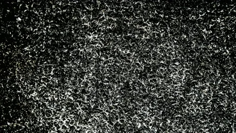 Black friday quotes with grunge background Stock Footage 142291638