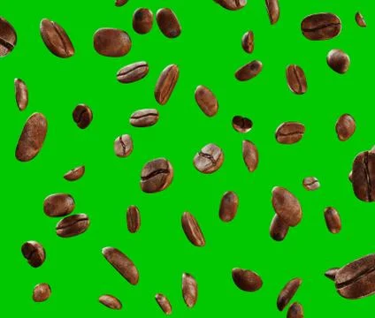 Black fried coffee beans falling down, green screen, 3d rendering Illustrazione stock