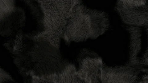 Black Fur Background Stock Footage 144198466