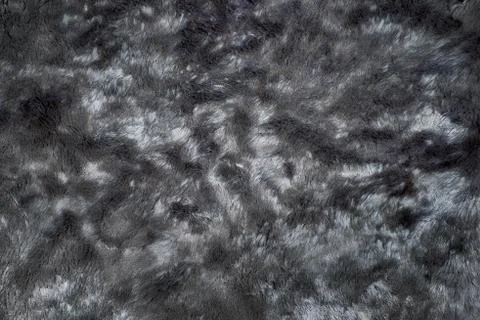 Black fur background Foto stock