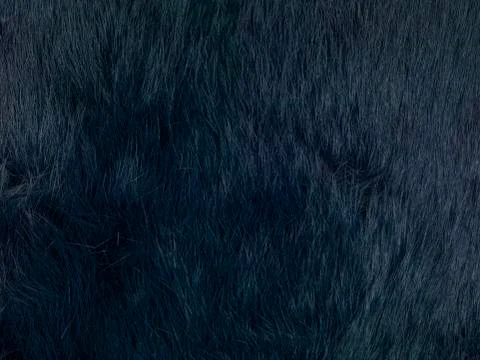 Black fur background Stock Photos