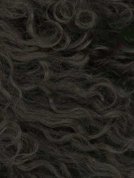 Black fur Stock Photos