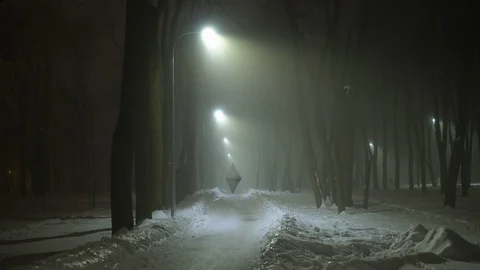 Black futuristic object floating in a night park, alien ship, UFO, technology Stock Footage 102427582