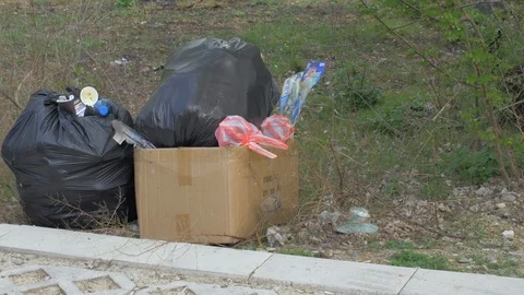 Black garbage bag in garden. Stock Footage 106016360