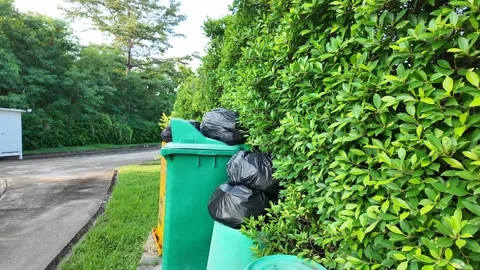 Black Garbage Bag on green bin at park. Stockbeeldmateriaal 277491688