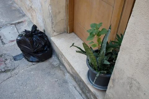 Black garbage bag standing on the threshold of the house near the green plant Foto stock