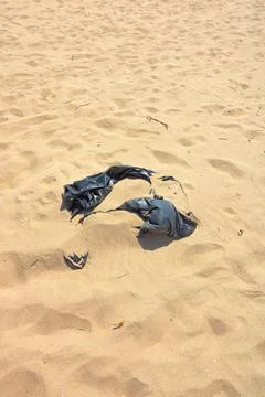 A black garbage bag throwed to the beach. Environmental pollution. Foto stock