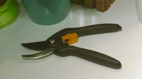 Black Garden Shears on a White Surface Video stock 61338706