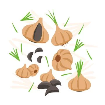 Black Garlic elements abstract vector design background for packaging design Stock Illustration