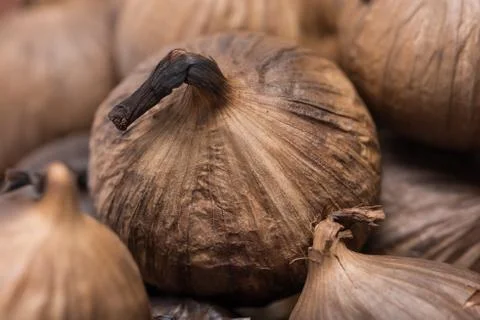 Black Garlic in studio Stock Photos