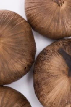 Black Garlic in studio 스톡 사진