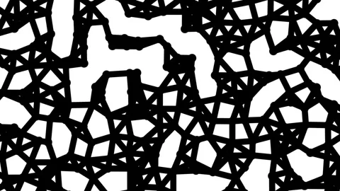 Black geometric lattice structure morphing with dynamic nodes on white moti.. Stock Footage 342784545