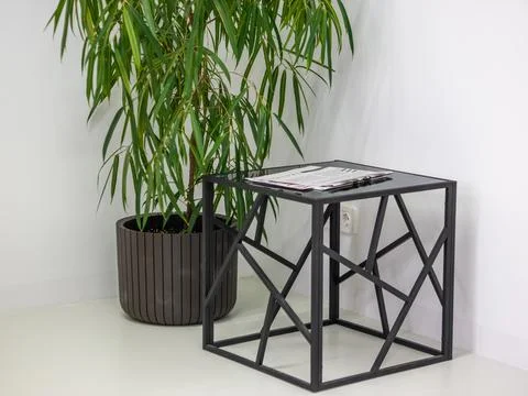 Black geometric side table next to large houseplant in modern room Stock Photos