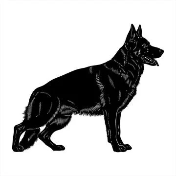 Black german shepherd dog illustration standing profile vector Stock Illustration