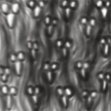 Black Ghost Faces Texture – Screaming Souls Haunting Horror Background 스톡 일러스트