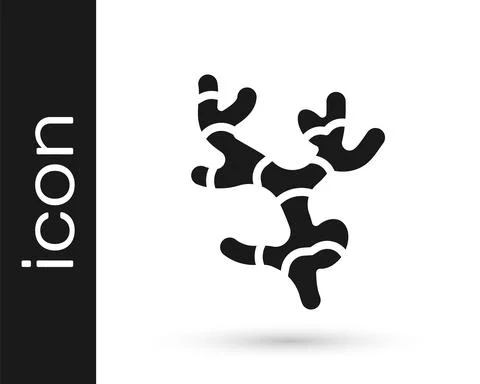 Black Ginger root icon isolated on white background. Vector Иллюстрация