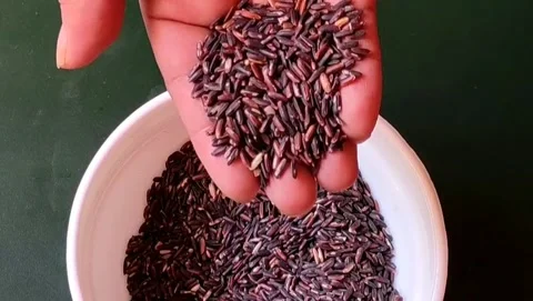 Black Glutinous Rice Video stock 203935790