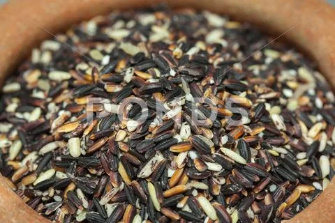Black glutinous rice Stock Photos