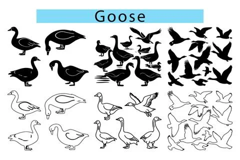 Black Goose outline vector illustration, Goose silhouette vector art Stock Illustration