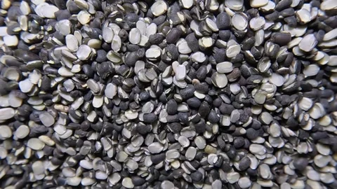 Black Gram - Rotating Shot Stock Footage 283989613