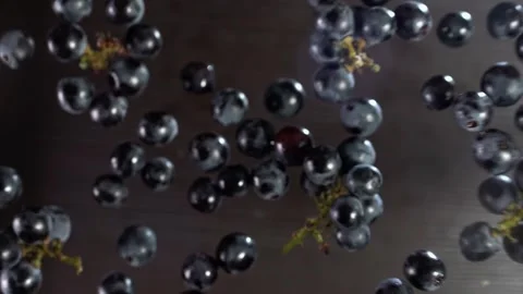 Black grape berries take off and float in the air against a black background Stock Footage 268744638