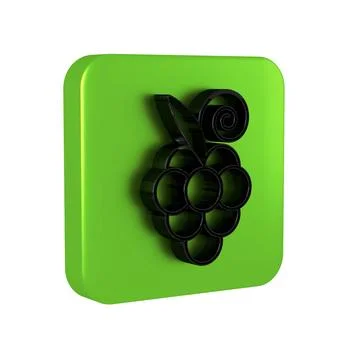 Black Grape fruit icon isolated on transparent background. Green square butto Stock Illustration
