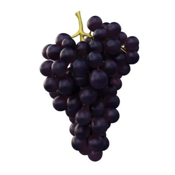 Black Grape Stock Illustration