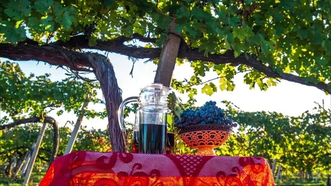 Black grape juice Stock Footage 97433888