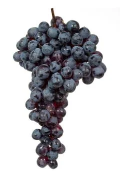 Black grape Stock Photos