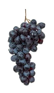Black grape Stock Photos