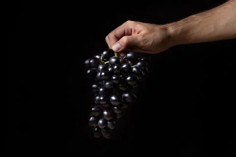Black grapes on a black background. Stock Photos