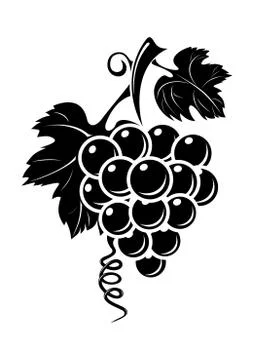 Black grapes icon Stock Illustration