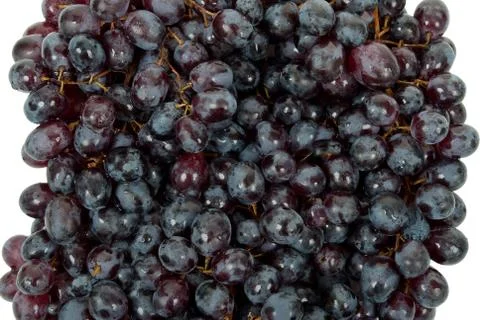 Black grapes Stock Photos