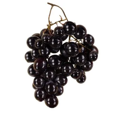Black grapes Stock-Fotos