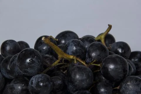 Black grapes Stock Photos