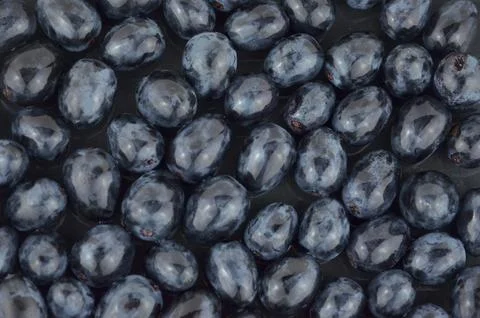 Black grapes separate berries background, closeup, top view Stock Photos