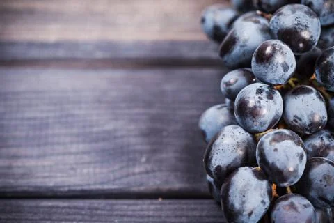 Black grapes on the table close up, back space Stock Photos