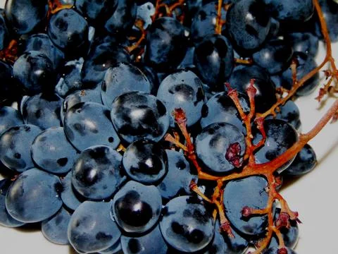 Black grapes on a table Foto stock
