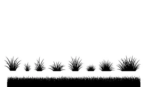 Black grass silhouettes on a white background for design elements Stock Illustration