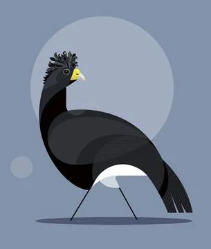 Black great curassow Stock Illustration
