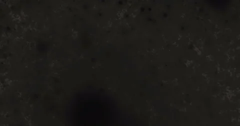 Black-grey background 4k Stock Footage 52249470