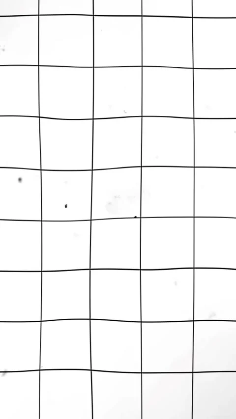 Black grid on a white noisy background Stock Footage 292779286