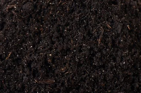 Black ground close up Foto stock