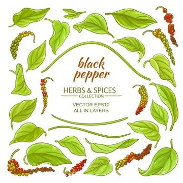 Black ground pepper elements set Stock Illustration