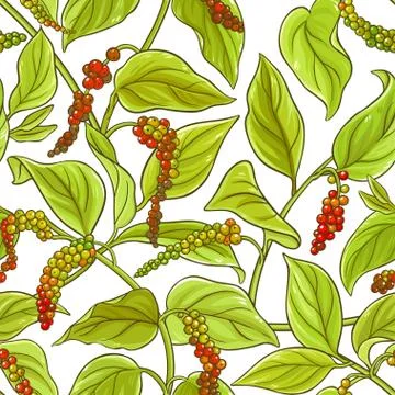 Black ground pepper Illustrazione stock